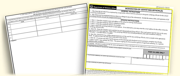 Graphic of VA Forms 22-8794.